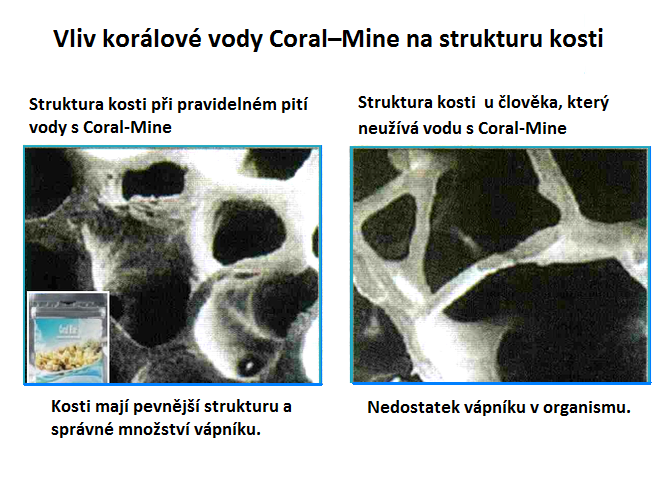 coral mine kosti